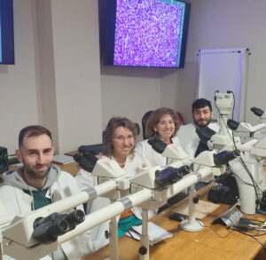 Lorenzi gruppo di lavoro