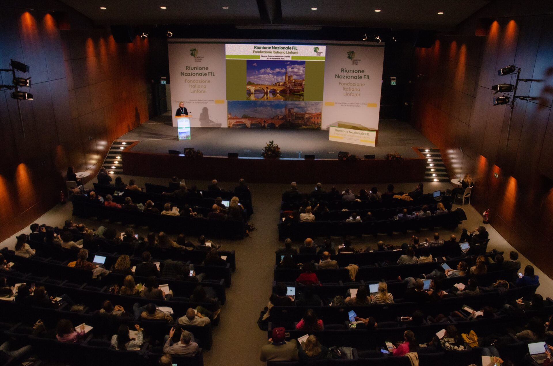 riunione plenaria 2024