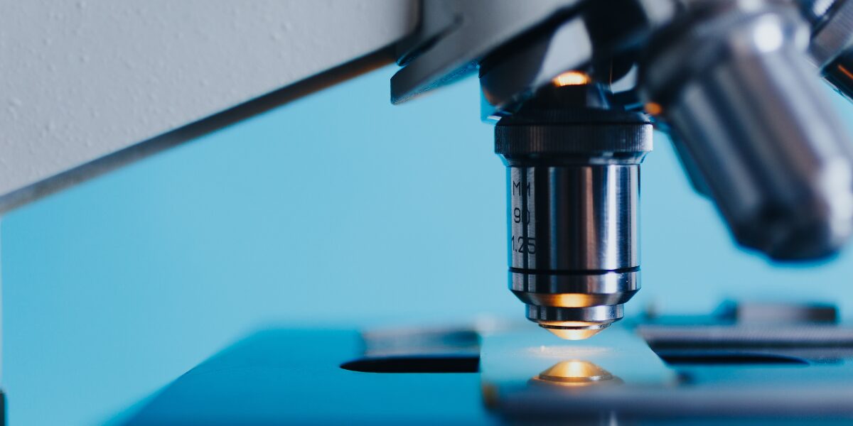 marietta concluso studio